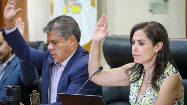 ¿Cuánto costará llevar a la estética a mi lomito o gatito en el Hospital León 450?