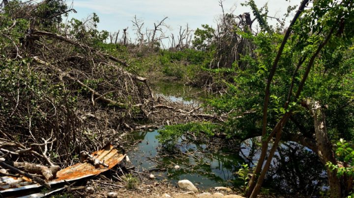 Geografías raciales