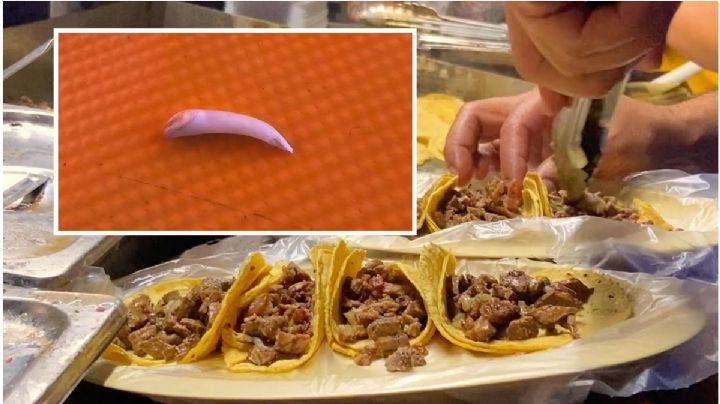 Cliente pide taco de bistec y le sale con un colmillo, pasó en Hidalgo
