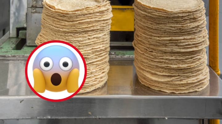 Tortillas "pirata": así puedes identificarlas
