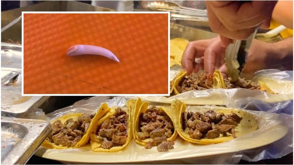 La presunta taquería en Hidalgo se localiza en la parte centro del estado