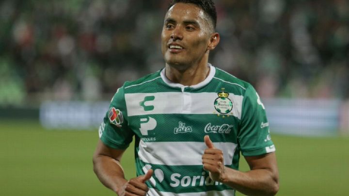 El gallo Vázquez regresa a jugar en el llano