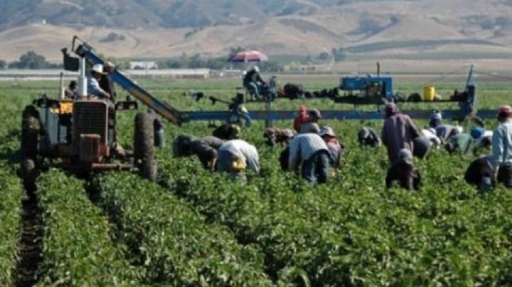 ICE obliga a Modesta a elegir entre la deportación o separarse de sus hijos