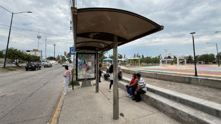 Se roban las bancas de las paradas en Santa Julia: vecinos esperan el camión en el suelo