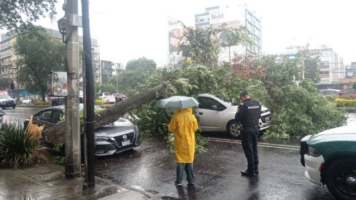 Lluvias provocan inundaciones y caída de árboles en CDMX y Estado de México
