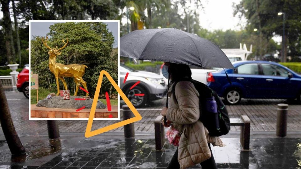 Por lluvias, cierran temporalmente acceso a Naturalia en Xalapa