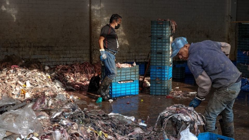 México es un país con alto índice de inseguridad alimentaria