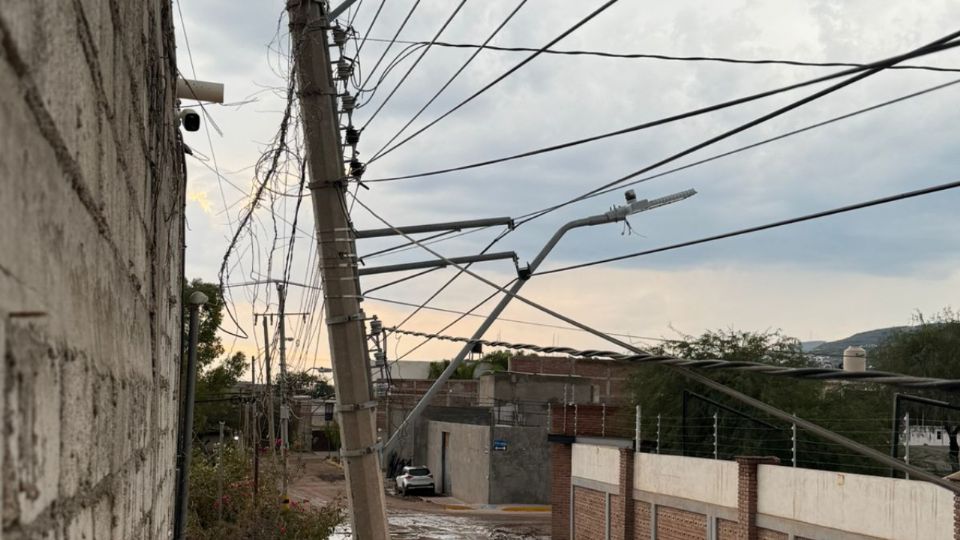 Postes de luz a punto de colapsar