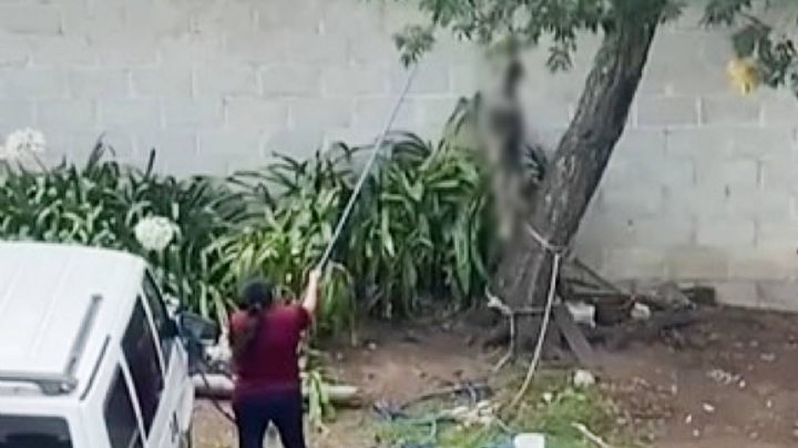 Cuelgan del cuello a un perrito en Tulancingo, PGJEH investiga maltrato animal