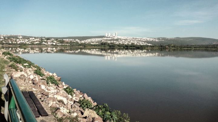 Un hombre se lanzó de forma inesperada a la Presa El Palote; ¿Por qué lo hizo?