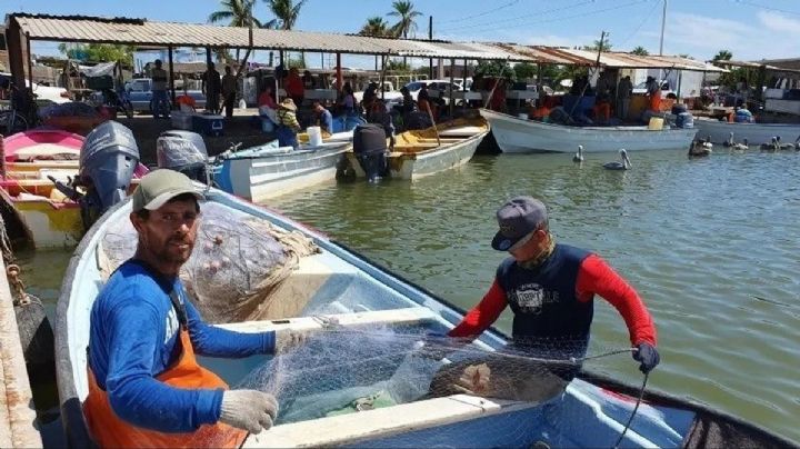 Pescadores denuncian intento de criminalizarlos con reforma planteada en San Lázaro