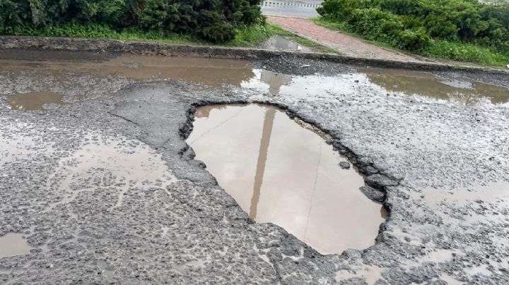 La alberca de Centro Max