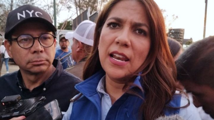 "Condeno enérgicamente lo ocurrido en Irapuato": Libia Dennise