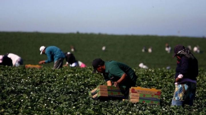 Migración indocumentada: dependencia y criminalización