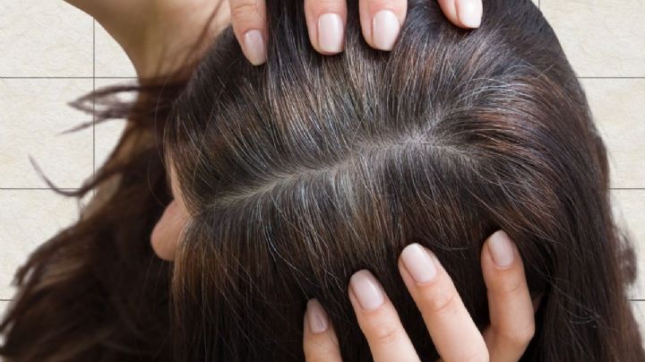 Este shampoo barato cubre las canas mejor que cualquier tinte y deja tu cabello suave y radiante