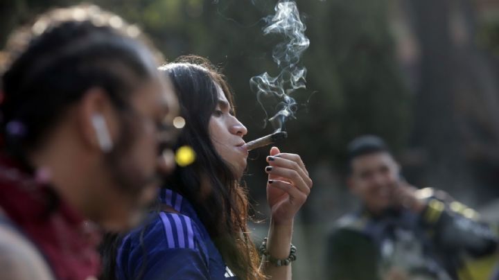 Estela de Luz y Monumento a la Madre, los primeros plantones cannábicos retirados en CDMX