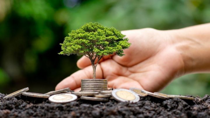 Bonos sostenibles en México: los retos de alineación sostenible y fiscal