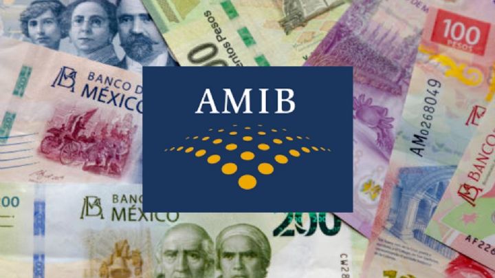 AMIB garantiza protección para los activos de clientes