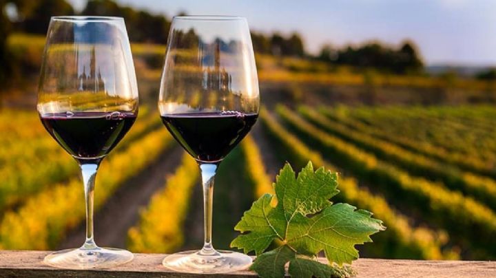 Disfruta una ruta del vino en estos sitios guanajuatenses