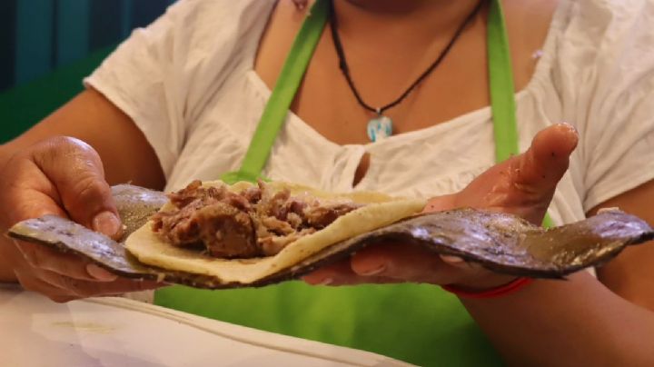 Buscarán romper récord Guinness de más tacos de barbacoa en Feria de Actopan