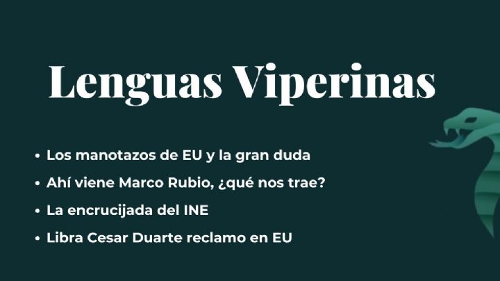 Lenguas Viperinas