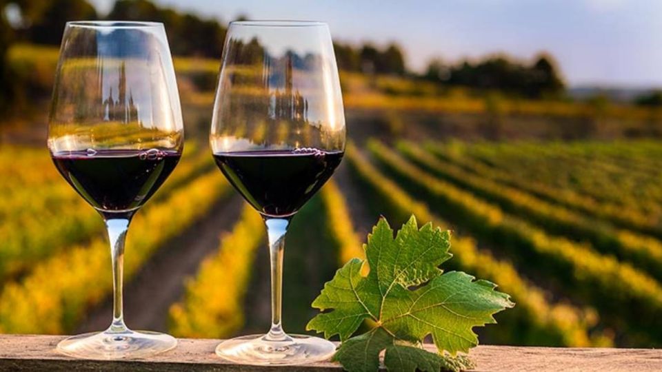 El recorrido por vinícolas guanajuatenses es de 6 horas y media.