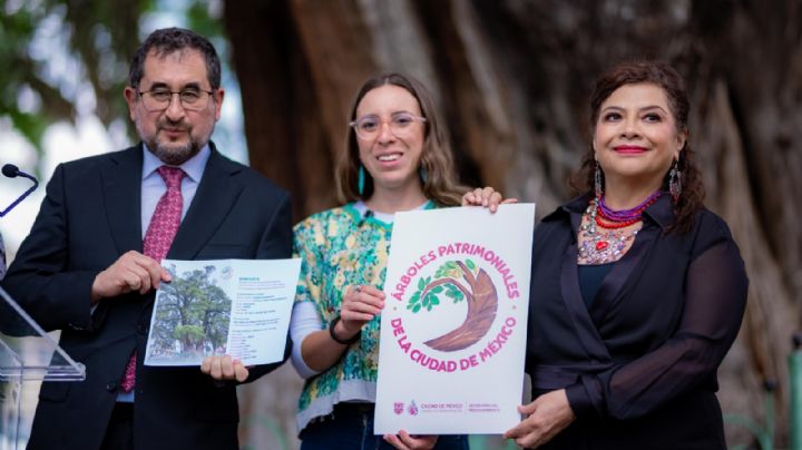 CDMX declara 12 árboles como Patrimoniales; habitantes elegirán sus nombres