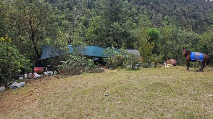 Narcolaboratorio en límites de Otzolotepec y Jilotzingo; aseguran químicos y reactores