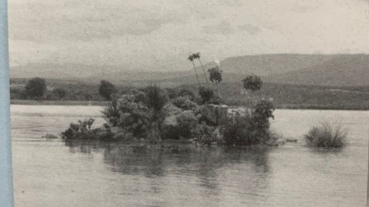 Las islas de la Presa de El Palote que eran santuarios de aves