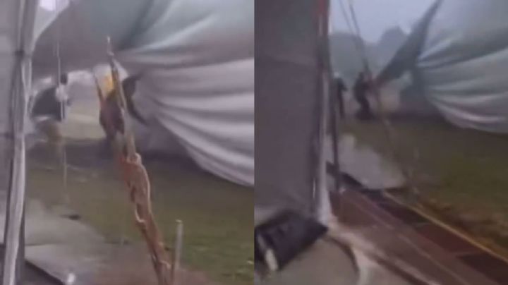 Tormenta frustra concierto de Caifanes; colapsa escenario en Tlaxcala