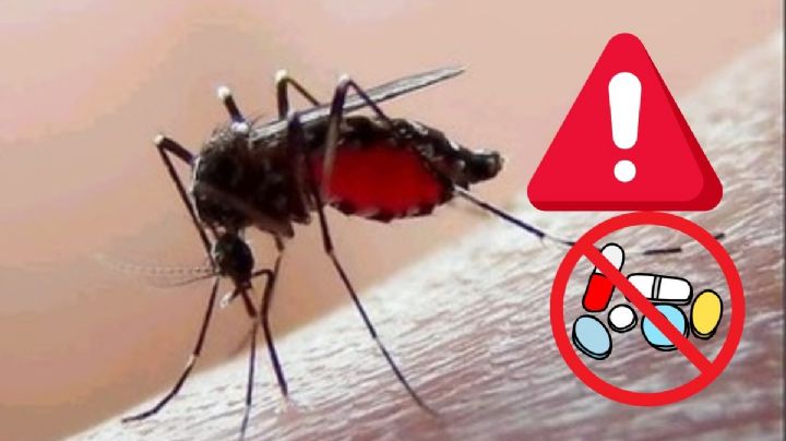 Veracruz repunta en dengue en el país: los medicamentos que Salud alerta no tomar