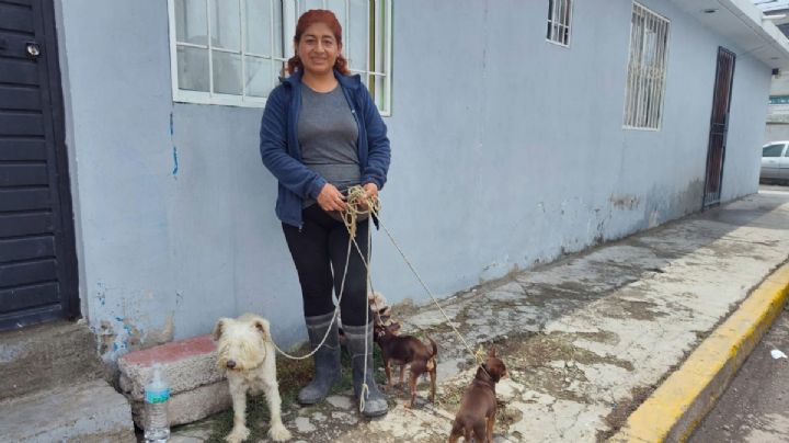 “Fue en minutos que subió el agua en Los Tuzos”: la pesadilla de Lourdes que sólo pudo sacar a sus mascotas
