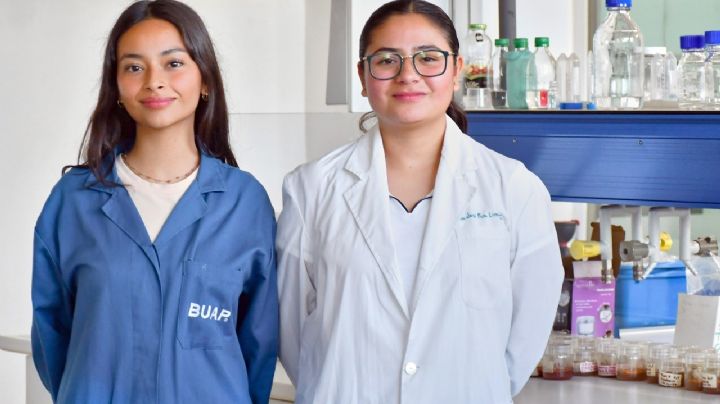 Este es el pesticida ecológico contra plagas del plátano hecho en Puebla