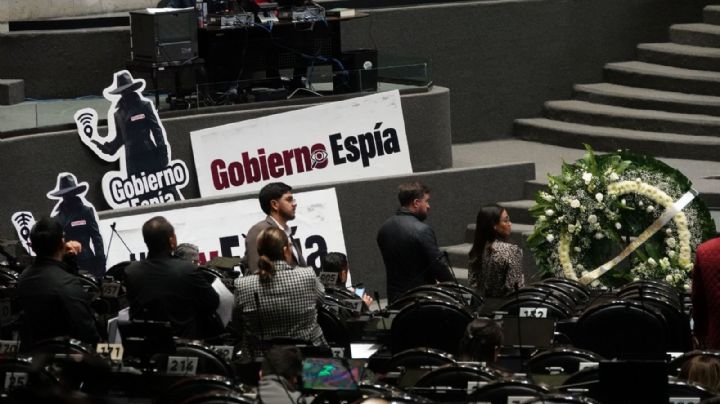 El fantasma del Gran Hermano en las leyes de Seguridad