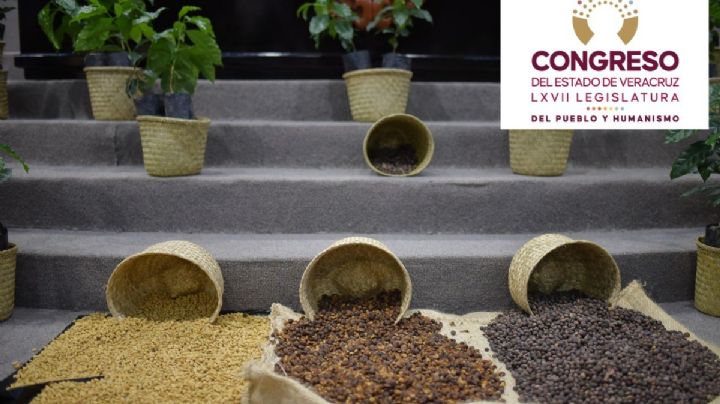 Crea Congreso Comisión Especial que atenderá la cafeticultura