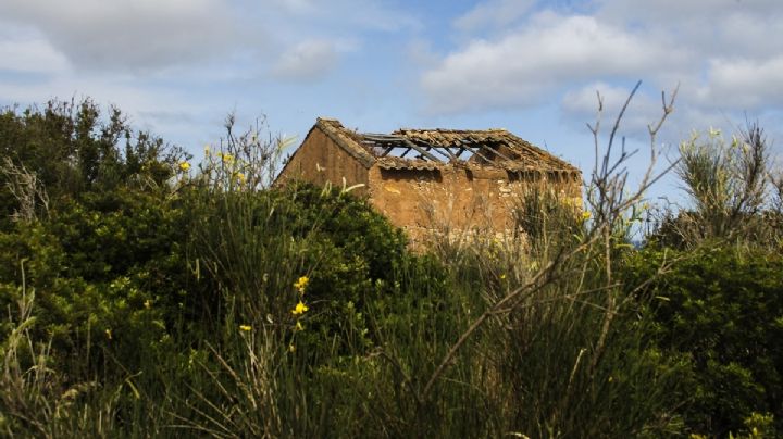Madeleine McCann: el caso de la niña desaparecida revivido por Alemania y Portugal