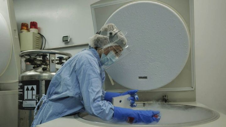 ¿Adiós Beca Rita Cetina y Beca Benito Juárez? Estas son las becas del IMSS