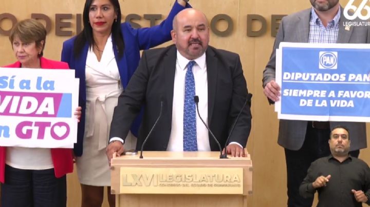 "Vamos a perseguir a quienes aborten a las 12 semanas con 1 día: eso es lo que están pidiendo"