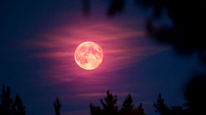 Este junio habrá luna rosa; te decimos cuándo y dónde verla en Guanajuato