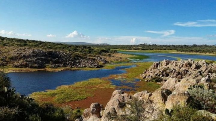 Esta comunidad de Guanajuato te cautivará con sus majestuosos paisajes