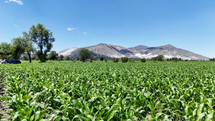 En octubre, la actividad económica de México creció 1.0%, a tasa mensual: Inegi