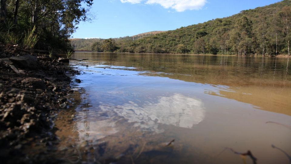 Apenas empieza la temporada de lluvias y ya muestran recuperación las presas de Guanajuato.