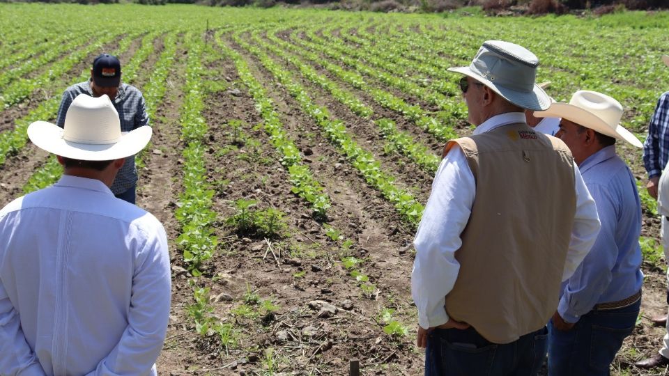 Julio Berdegué Sacristán, secretario de Agricultura, llevó a cabo una gira laboral por Hidalgo