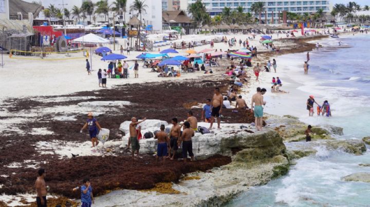 Quintana Roo: sargazo excesivo invade la mitad de sus playas