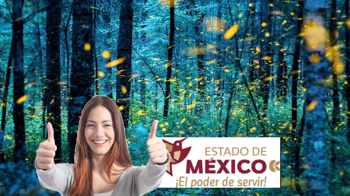 Temporada de luciérnagas en el Edomex: fechas, horarios y lugares exactos
