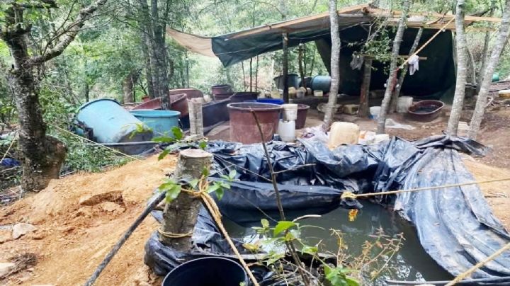 Hidalgo suma 379 delitos del fuero federal: 6 por ciento estuvieron relacionados con drogas