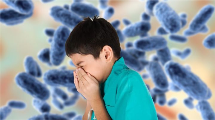 Tos ferina afecta a 38 bebés no vacunados, reporta la Secretaría de Salud de Hidalgo