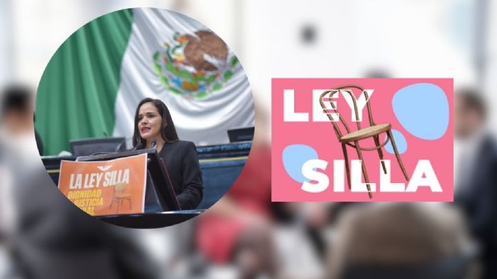 Llama diputada a hacer efectiva en Veracruz la Ley Silla