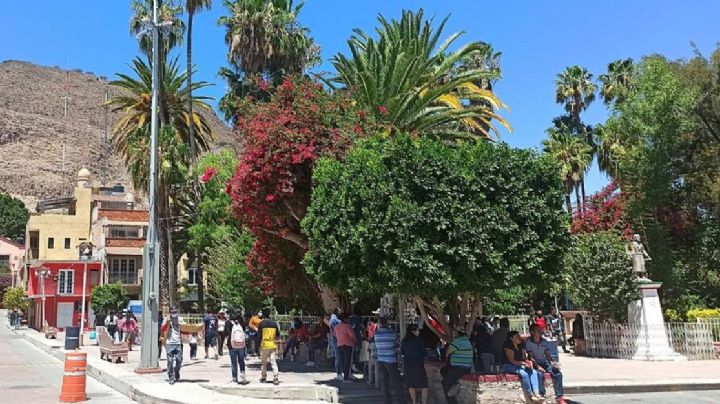 Disfruta del sabor a Huapango y del garambullo en este festival de Guanajuato