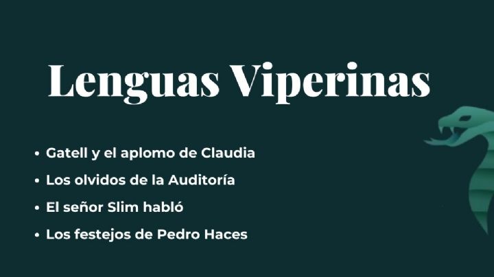 Lenguas Viperinas
